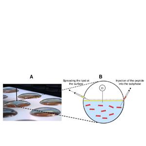 液体表面18luck国际